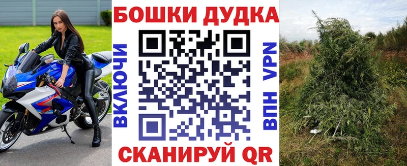 Купить закладку Каннабис  Меф мяу мяу  Кокаин  A-PVP  Гашиш  Венёв