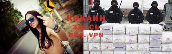 мдпв Елабуга