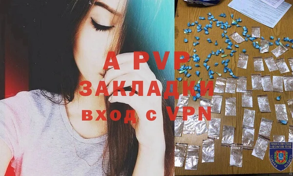 спиды Ельня