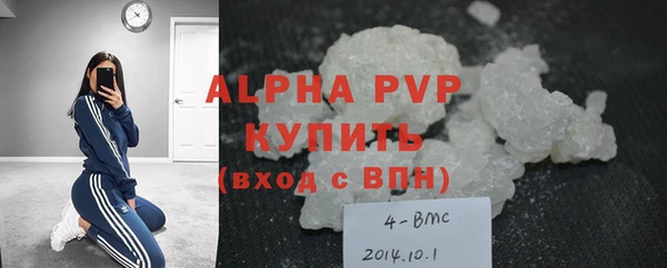 спиды Ельня