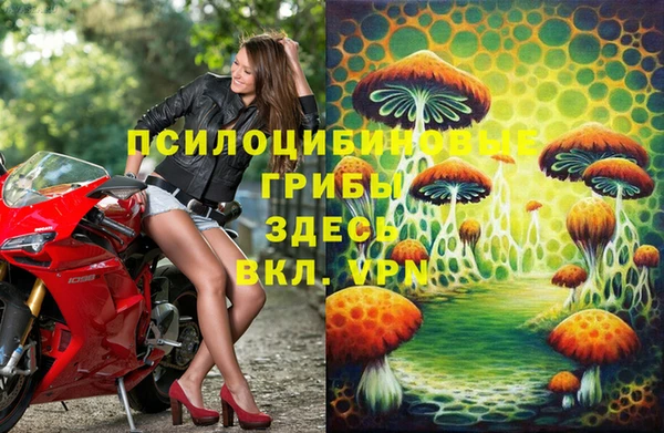 МДМА Елизово