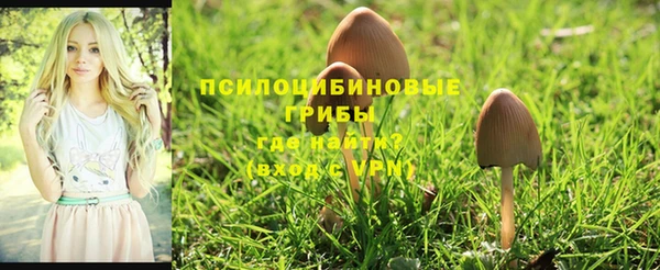 спиды Ельня