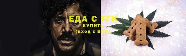 спиды Ельня
