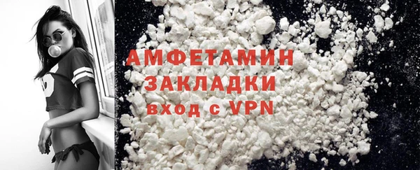 спиды Ельня