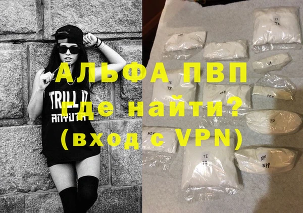 спиды Ельня