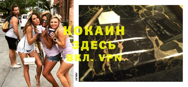 спиды Ельня