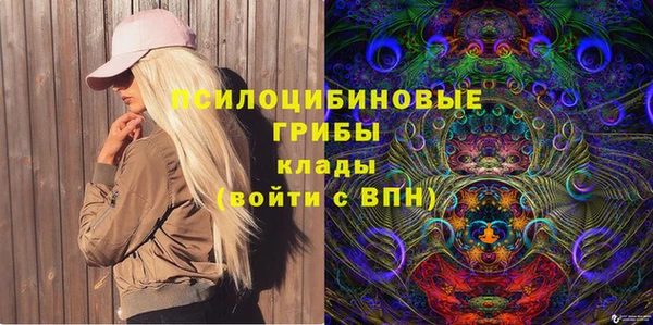 МДМА Елизово