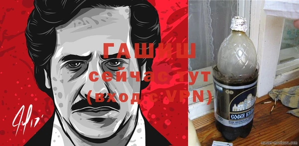 мдпв Елабуга