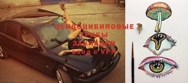 мдпв Елабуга