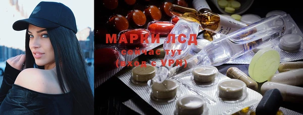 спиды Ельня