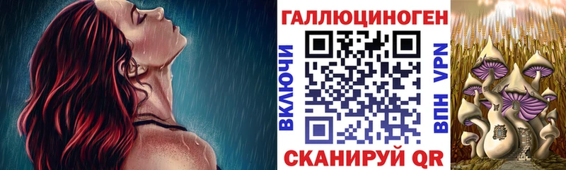 Купить закладки  Венёв  Галлюциногенные грибы мицелий 